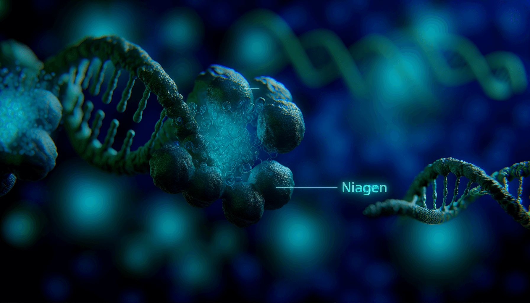 Complete Guide to Niagen: Benefits, Uses, and Research