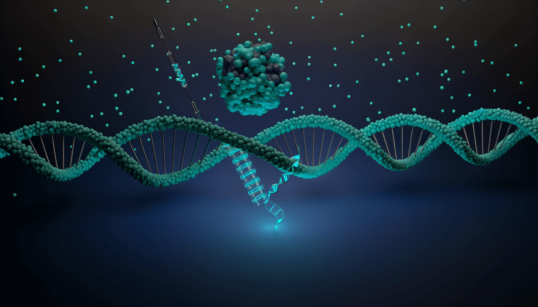 Astaxanthin Safety Profile: Side Effects & Contraindications