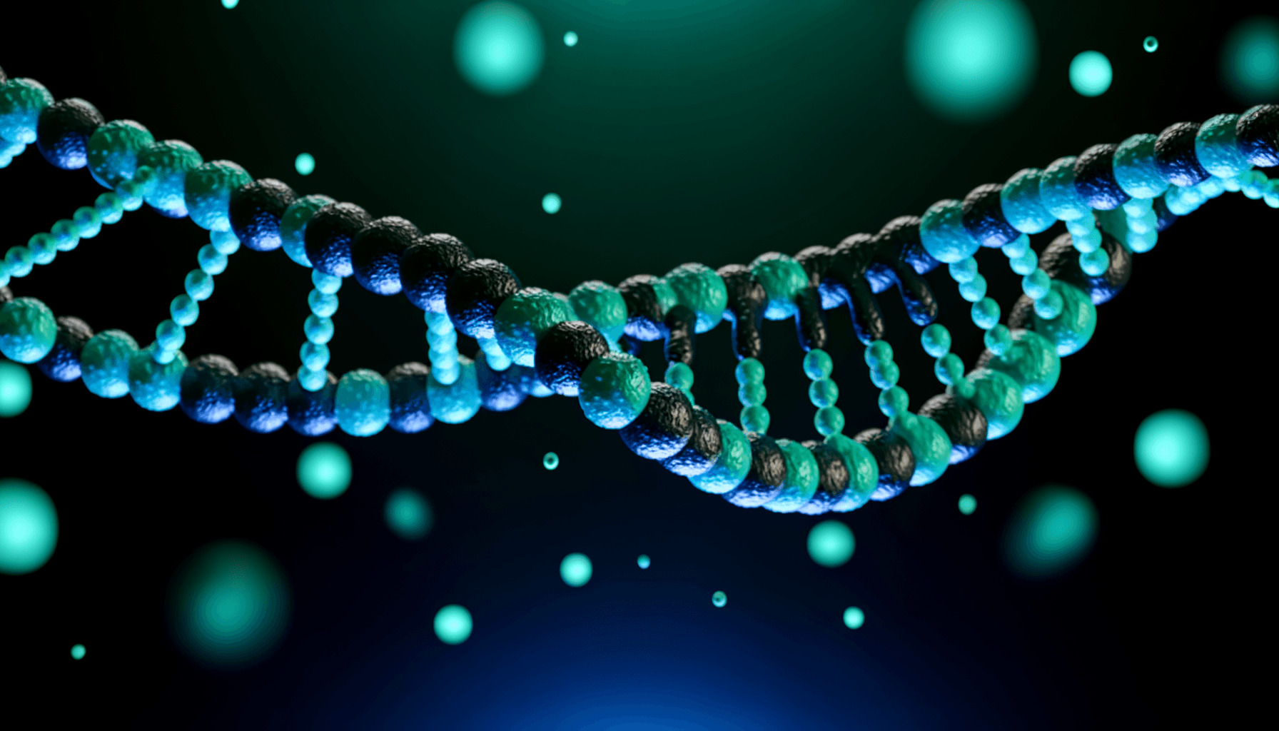 Complete Guide to CoQ10/Ubiquinol: Benefits, Dosage, and Research