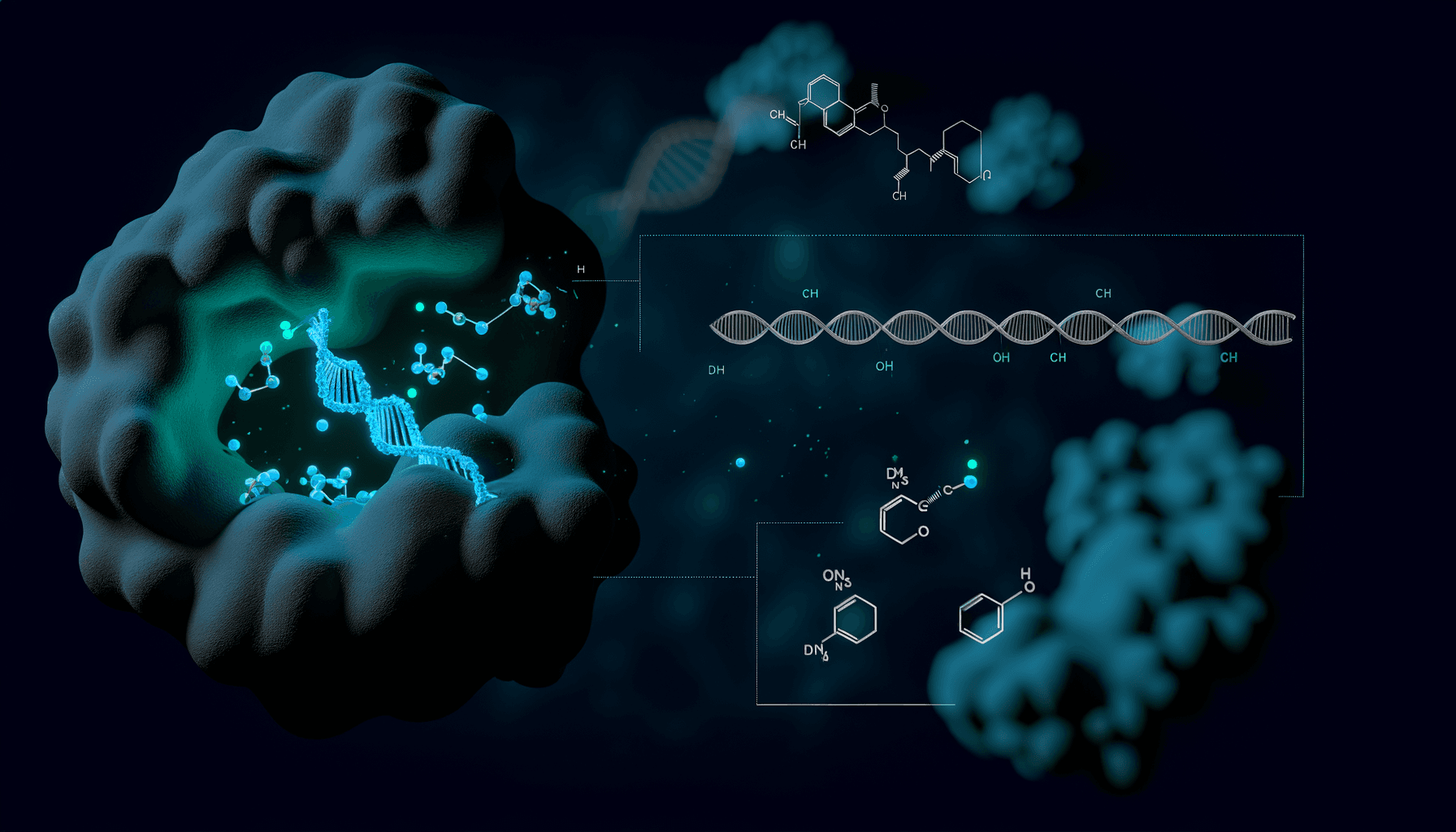 Exploring Curcumin's Mechanism of Action: A Detailed Insight