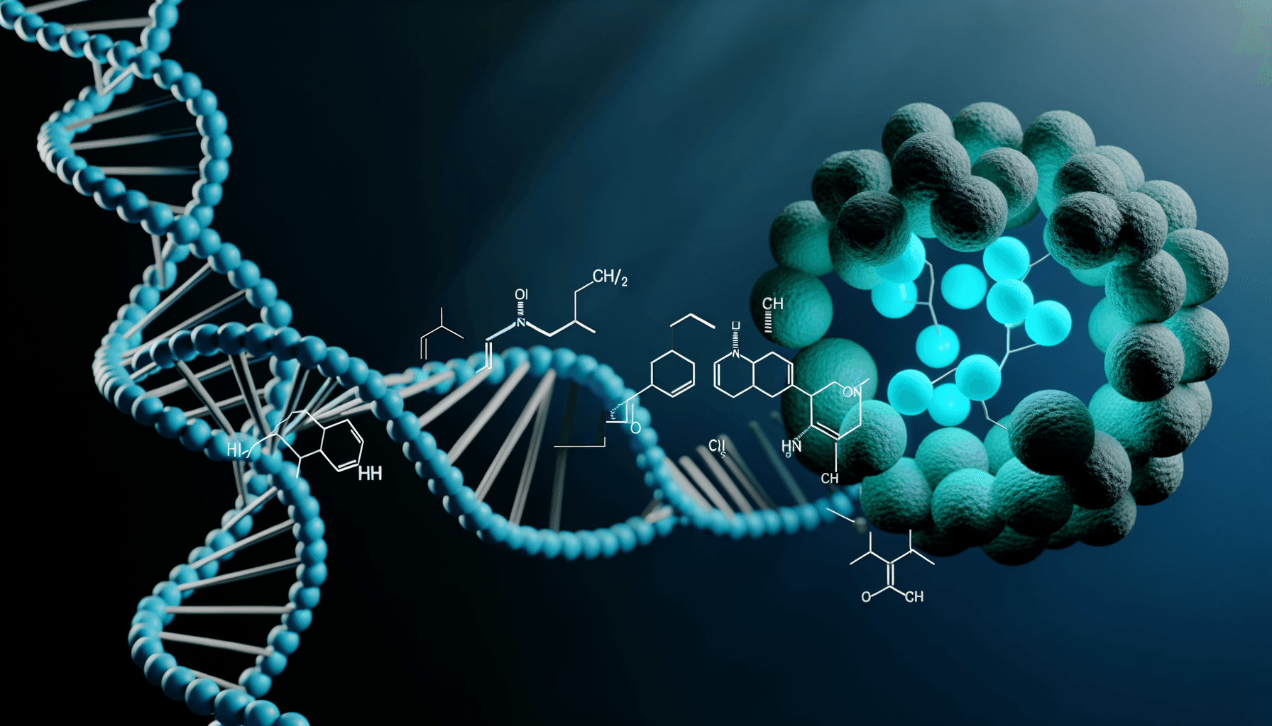 Understanding DHEA: Mechanisms and Impact on Health